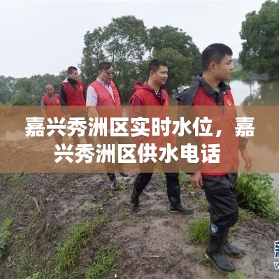 雍容华贵 第3页