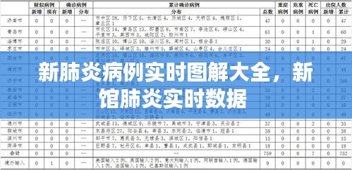 新肺炎病例实时图解大全，新馆肺炎实时数据 