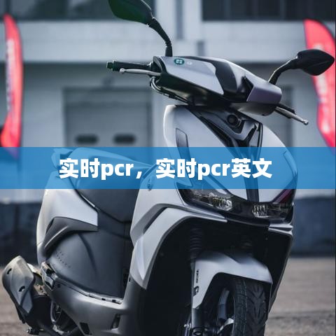 实时pcr，实时pcr英文 