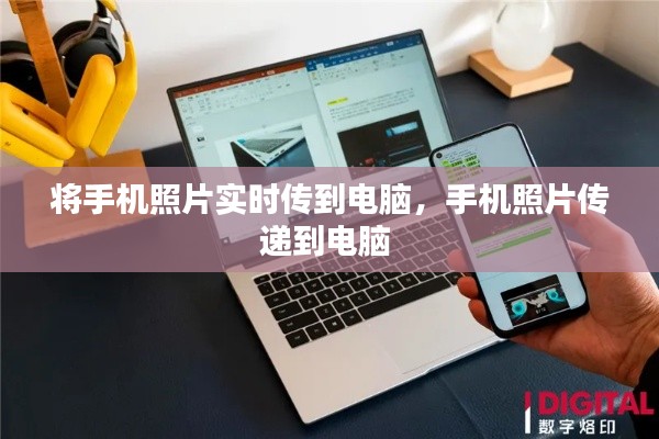 林下风气 第3页
