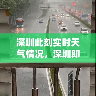 深圳此刻实时天气情况，深圳即时天气实况 