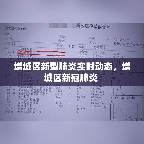 增城区新型肺炎实时动态，增城区新冠肺炎 