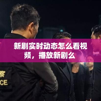 新剧实时动态怎么看视频，播放新剧么 