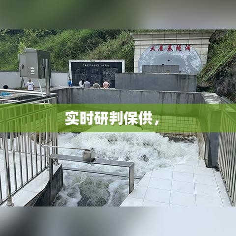 实时研判保供， 