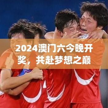 2024澳门六今晚开奖，共赴梦想之巅