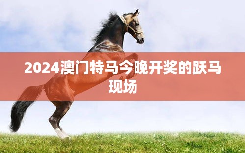 2024澳门特马今晚开奖的跃马现场