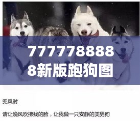 7777788888新版跑狗图解析：狗赛背后的数据分析艺术