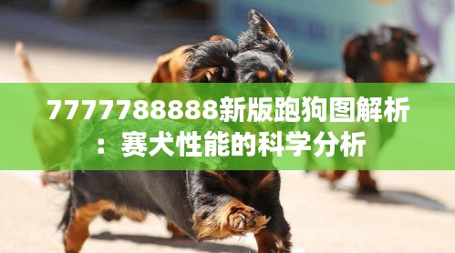 芳兰竟体 第3页