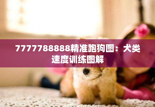 7777788888精准跑狗图：犬类速度训练图解