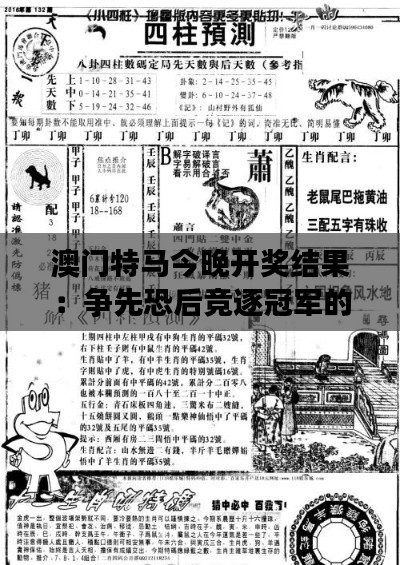 澳门特马今晚开奖结果：争先恐后竞逐冠军的夜晚