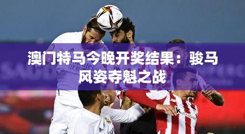 澳门特马今晚开奖结果：骏马风姿夺魁之战