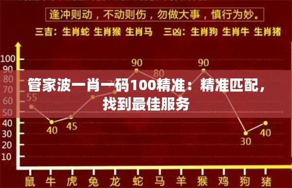 管家波一肖一码100精准：精准匹配，找到最佳服务