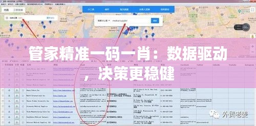 管家精准一码一肖：数据驱动，决策更稳健