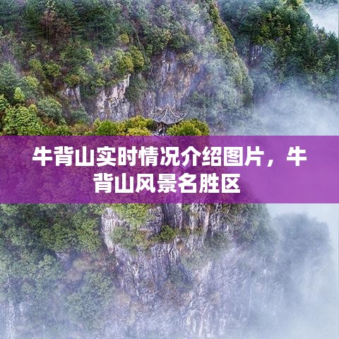 牛背山实时情况介绍图片，牛背山风景名胜区 