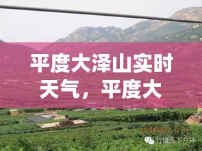 飞珠溅玉 第3页