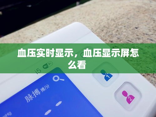 雍容典雅 第3页