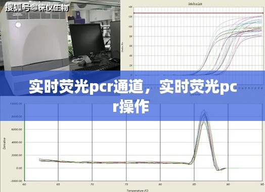 实时荧光pcr通道，实时荧光pcr操作 