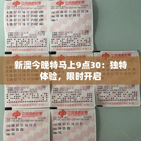新澳今晚特马上9点30：独特体验，限时开启