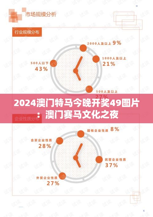 2024澳门特马今晚开奖49图片：澳门赛马文化之夜