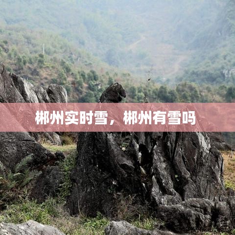 郴州实时雪，郴州有雪吗 