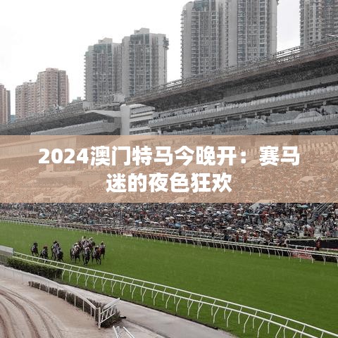 2024澳门特马今晚开：赛马迷的夜色狂欢