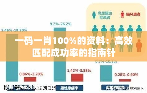 一码一肖100%的资料：高效匹配成功率的指南针