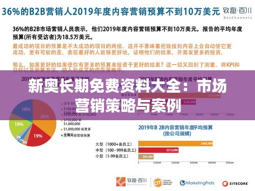 新奥长期免费资料大全：市场营销策略与案例