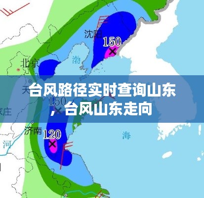台风路径实时查询山东，台风山东走向 