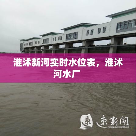 淮沭新河实时水位表，淮沭河水厂 