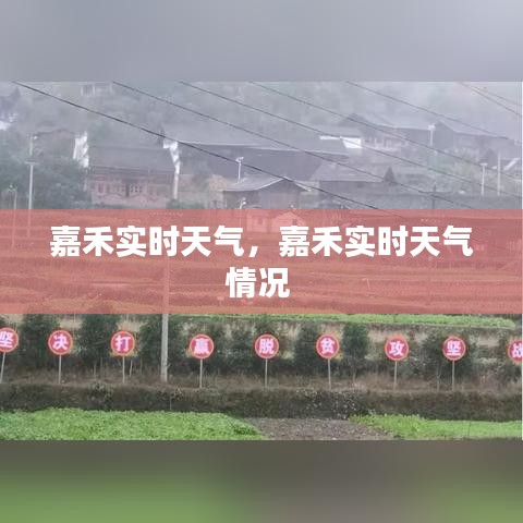 嘉禾实时天气，嘉禾实时天气情况 
