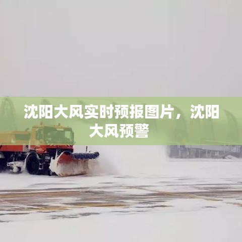 沈阳大风实时预报图片，沈阳大风预警 