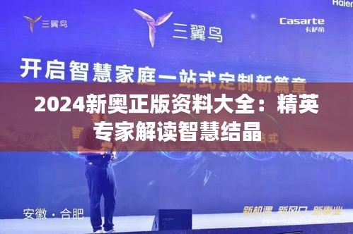 2024新奥正版资料大全：精英专家解读智慧结晶