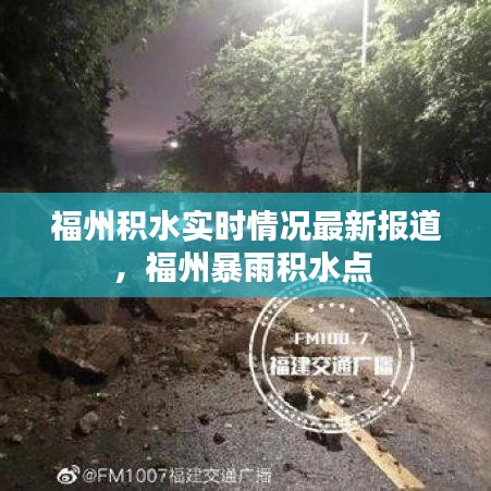 忠心耿耿 第3页