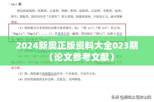 2024新奥正版资料大全023期（论文参考文献）