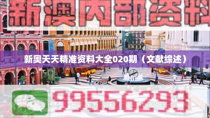 新奥天天精准资料大全020期（文献综述）