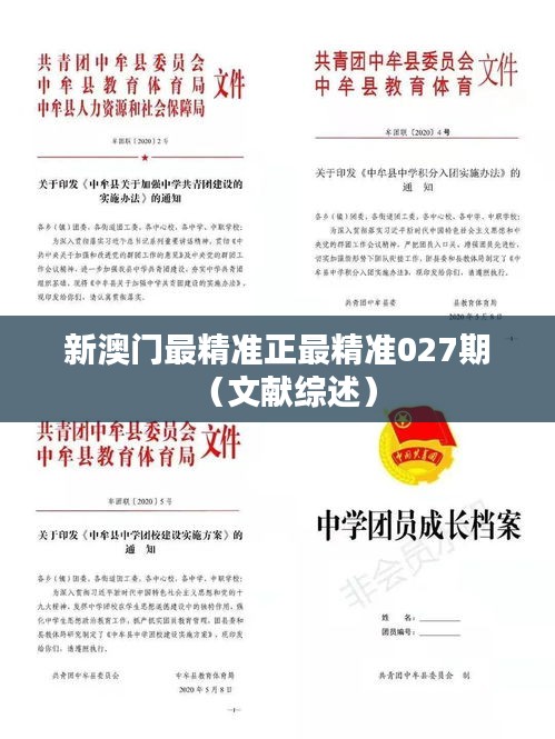 新澳门最精准正最精准027期（文献综述）
