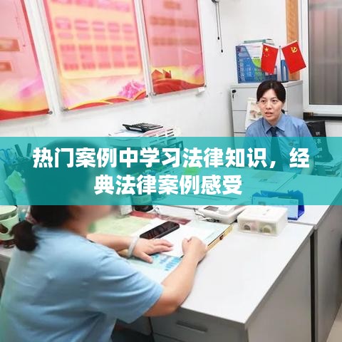 鸟为食亡 第3页