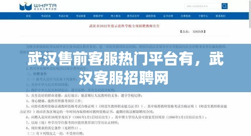 武汉售前客服热门平台有，武汉客服招聘网 