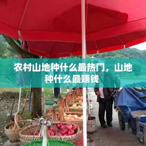 农村山地种什么最热门，山地种什么最赚钱 