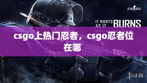 csgo上热门忍者，csgo忍者位在哪 