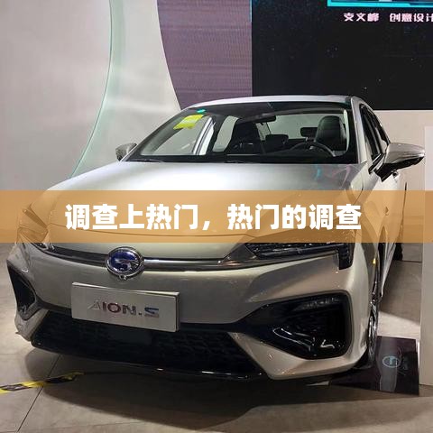 调查上热门，热门的调查 