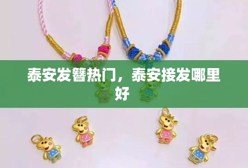 泰安发簪热门，泰安接发哪里好 