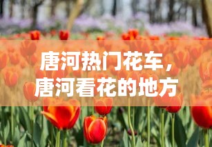 唐河热门花车，唐河看花的地方 