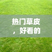 巧舌如簧 第3页