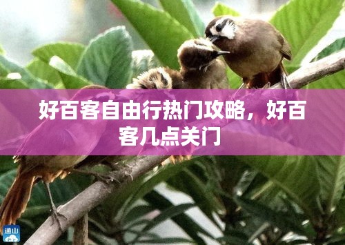 好百客自由行热门攻略，好百客几点关门 