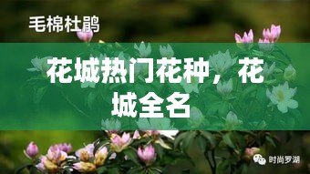 花城热门花种，花城全名 