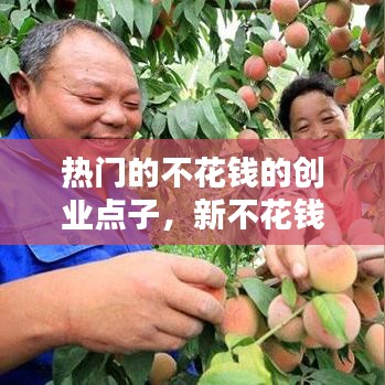 热门的不花钱的创业点子，新不花钱的创业项目 
