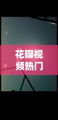 花瓣视频热门，花瓣视频剪辑 