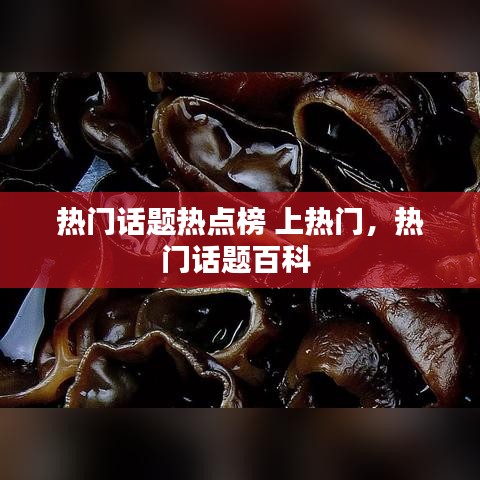寥若晨星 第3页