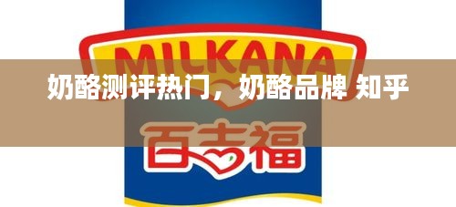 奶酪测评热门，奶酪品牌 知乎 
